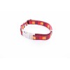 COLLIER pour chien DREAM couleur rouge IMAGE-DOGFRENCHTOUCH