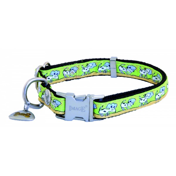 COLLIER pour chien OLIVIER VERT IMAGE-DOGFRENCHTOUCH