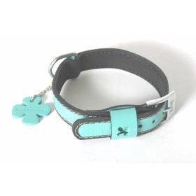 COLLIER EN CUIR pour chien BOWXY IMAGE-DOGFRENCHTOUCH