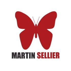 TAPIS EPAIS PETBED pour chien couleur gris MARTIN SELLIER-DOGFRENCHTOUCH