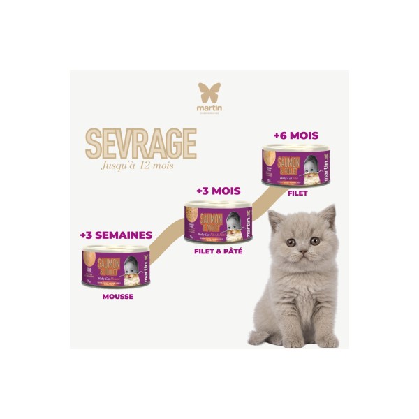FILET PATE pour chaton au saumon et poulet 70gx12 MARTIN FOOD MARTIN SELLIER-DOGFRENCHTOUCH