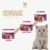 FILET PATE pour chaton au saumon et poulet 70gx12 MARTIN FOOD MARTIN SELLIER-DOGFRENCHTOUCH