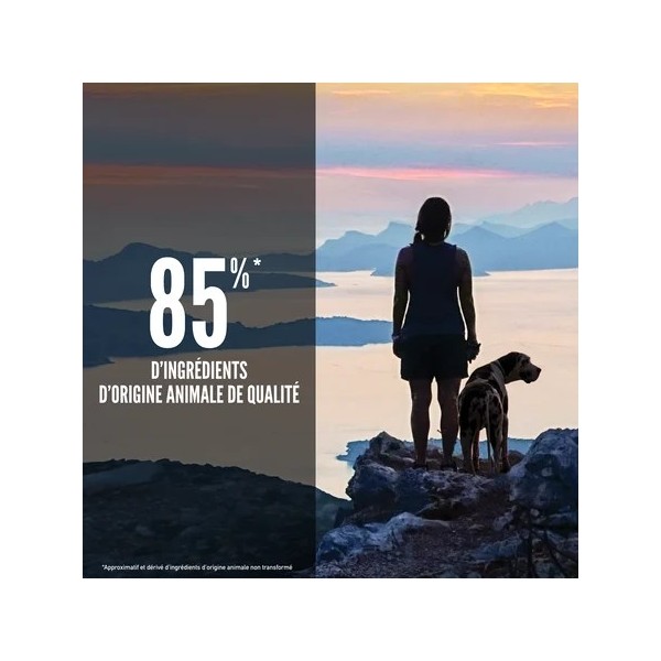 CROQUETTES pour chien DOG SIX FISH ORIJEN-DOGFRENCHTOUCH