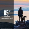 CROQUETTES pour chien DOG SIX FISH ORIJEN-DOGFRENCHTOUCH