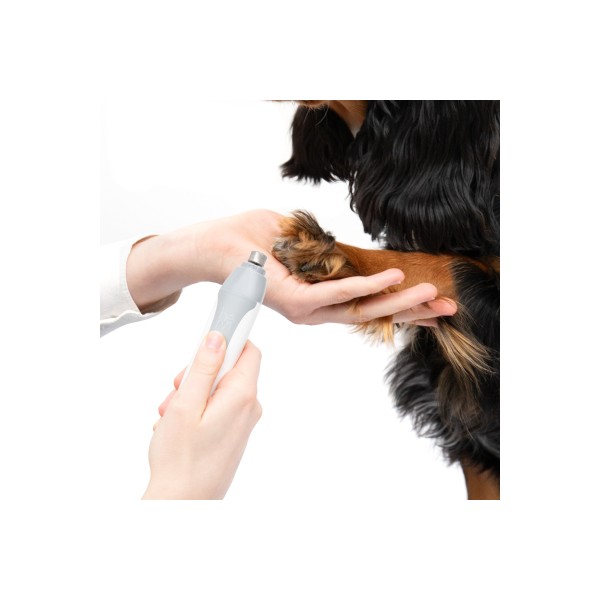 copy of Carde pour chien et chat HERY