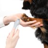 copy of Carde pour chien et chat HERY