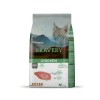 copy of CROQUETTES pour chien MED-LARGE ADULT CHICKEN BRAVERY