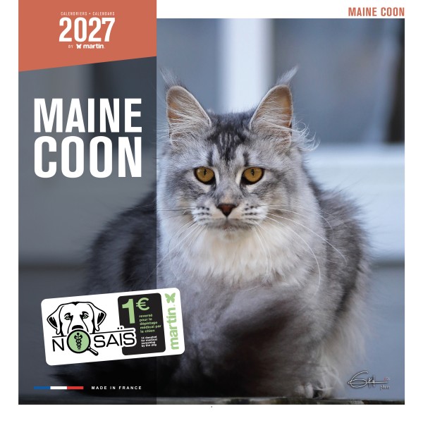 CALENDRIER chat 2027 MAINE COON MARTIN SELLIER-DOGFRENCHTOUCH