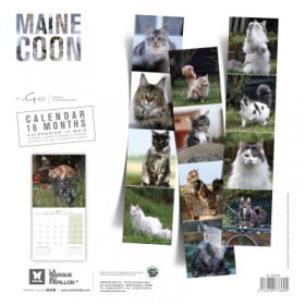 copy of Calendrier chien 2023-2024 Bouledogue français MARTIN SELLIER