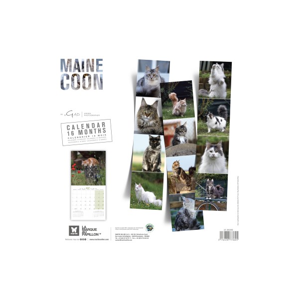 copy of Calendrier chien 2023-2024 Bouledogue français MARTIN SELLIER