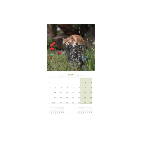 copy of Calendrier chien 2023-2024 Bouledogue français MARTIN SELLIER