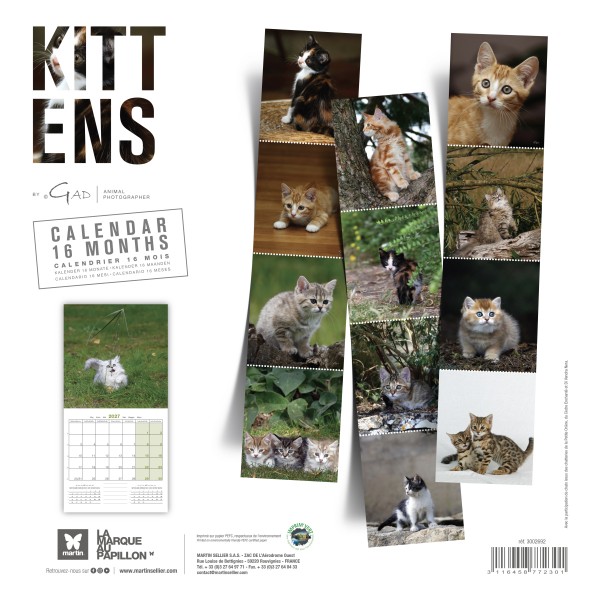 CALENDRIER chatons 2027 MARTIN SELLIER-DOGFRENCHTOUCH