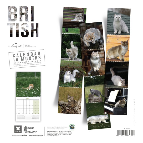 CALENDRIER chat 2027 BRITISH MARTIN SELLIER-DOGFRENCHTOUCH