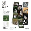 copy of Calendrier chien 2023-2024 Bouledogue français MARTIN SELLIER