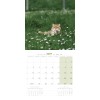 copy of Calendrier chien 2023-2024 Bouledogue français MARTIN SELLIER