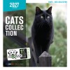 CALENDRIER chats 2027 TOUTES RACES CHATS MARTIN SELLIER-DOGFRENCHTOUCH