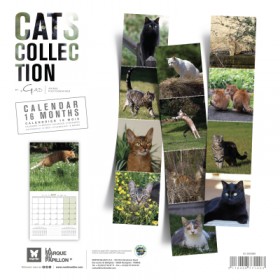 CALENDRIER chats 2027 TOUTES RACES CHATS MARTIN SELLIER-DOGFRENCHTOUCH