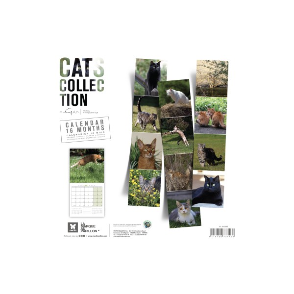 CALENDRIER chats 2027 TOUTES RACES CHATS MARTIN SELLIER-DOGFRENCHTOUCH