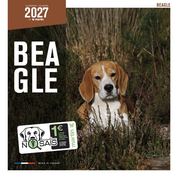 CALENDRIER chien 2027 BEAGLE MARTIN SELLIER-DOGFRENCHTOUCH