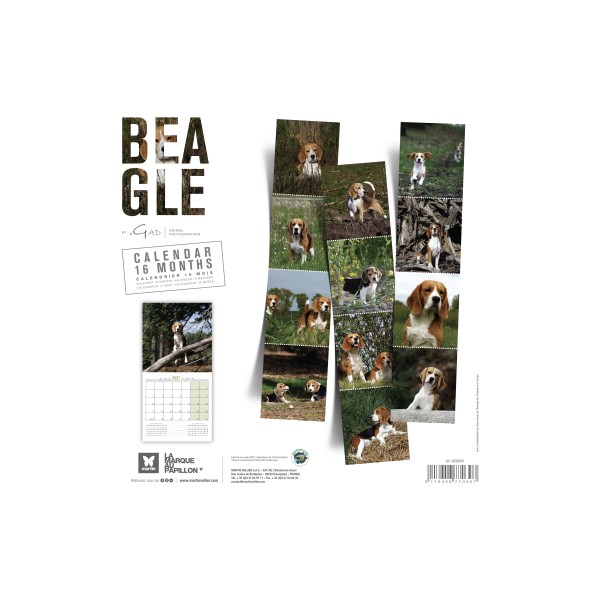 CALENDRIER chien 2027 BEAGLE MARTIN SELLIER-DOGFRENCHTOUCH