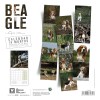 CALENDRIER chien 2027 BEAGLE MARTIN SELLIER-DOGFRENCHTOUCH