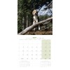 CALENDRIER chien 2027 BEAGLE MARTIN SELLIER-DOGFRENCHTOUCH