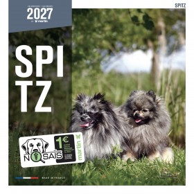 CALENDRIER chien 2027 SPITZ MARTIN SELLIER-DOGFRENCHTOUCH