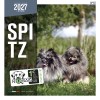 copy of Calendrier chien 2023-2024 Bouledogue français MARTIN SELLIER