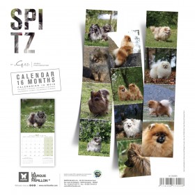 copy of Calendrier chien 2023-2024 Bouledogue français MARTIN SELLIER
