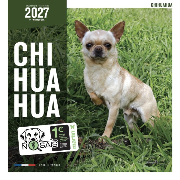 CALENDRIER chien 2027 CHIHUAHUA MARTIN SELLIER-DOGFRENCHTOUCH