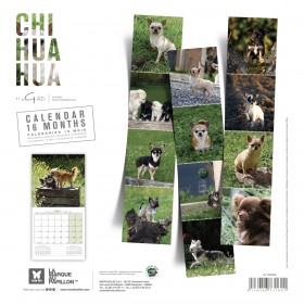 copy of Calendrier chien 2023-2024 Bouledogue français MARTIN SELLIER