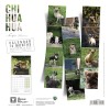 copy of Calendrier chien 2023-2024 Bouledogue français MARTIN SELLIER