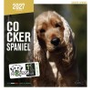 CALENDRIER chien 2027 COCKER MARTIN SELLIER-DOGFRENCHTOUCH