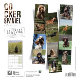 CALENDRIER chien 2027 COCKER MARTIN SELLIER-DOGFRENCHTOUCH