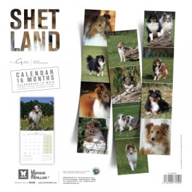 copy of Calendrier chien 2023-2024 Bouledogue français MARTIN SELLIER