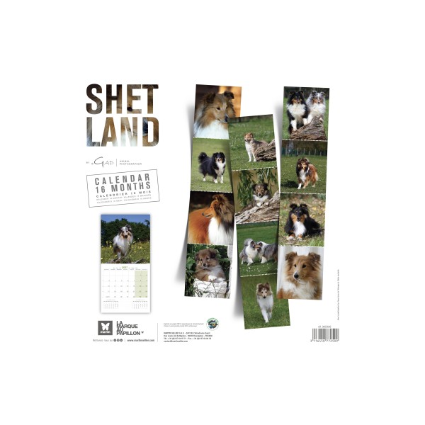 CALENDRIER chien 2027 SHETLAND MARTIN SELLIER-DOGFRENCHTOUCH