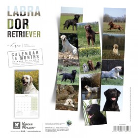 copy of Calendrier chien 2023-2024 Bouledogue français MARTIN SELLIER