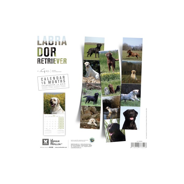 copy of Calendrier chien 2023-2024 Bouledogue français MARTIN SELLIER