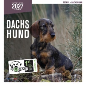 CALENDRIER chien 2027 TECKEL MARTIN SELLIER-DOGFRENCHTOUCH