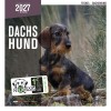 CALENDRIER chien 2027 TECKEL MARTIN SELLIER-DOGFRENCHTOUCH