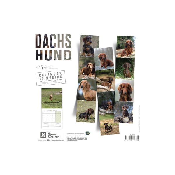 CALENDRIER chien 2027 TECKEL MARTIN SELLIER-DOGFRENCHTOUCH