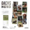 CALENDRIER chien 2027 TECKEL MARTIN SELLIER-DOGFRENCHTOUCH