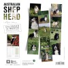 CALENDRIER chien 2027 BERGER AUSTRALIEN MARTIN SELLIER-DOGFRENCHTOUCH