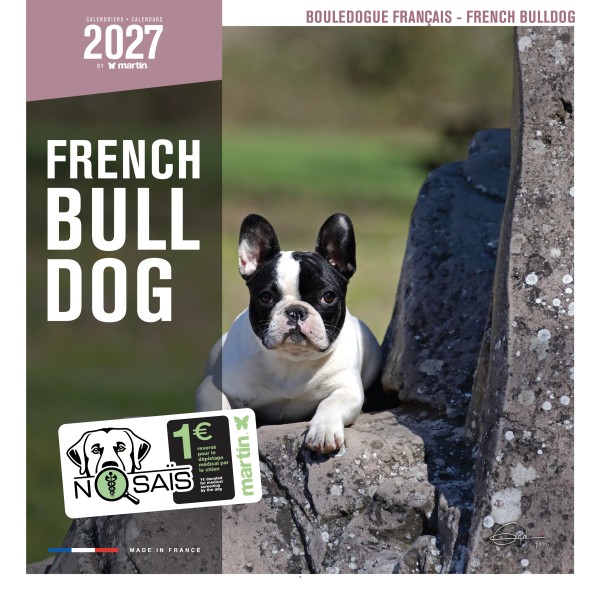 CALENDRIER chien 2027 BOULEDOGUE FRANCAIS MARTIN SELLIER-DOGFRENCHTOUCH