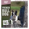 copy of Calendrier chien 2023-2024 Bouledogue français MARTIN SELLIER