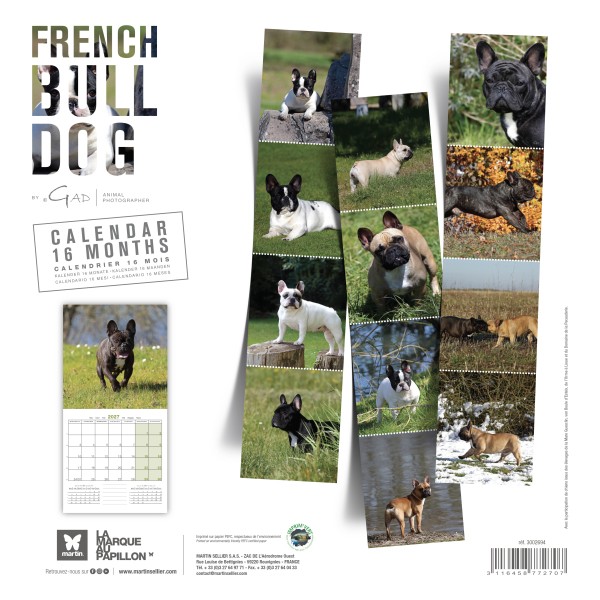 CALENDRIER chien 2027 BOULEDOGUE FRANCAIS MARTIN SELLIER-DOGFRENCHTOUCH