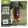 copy of Calendrier chien 2023-2024 Bouledogue français MARTIN SELLIER