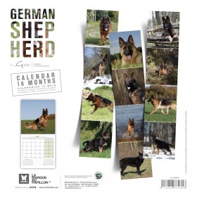 copy of Calendrier chien 2023-2024 Bouledogue français MARTIN SELLIER