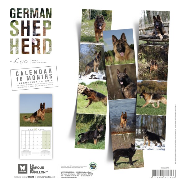CALENDRIER chien 2027 BERGER ALLEMAND MARTIN SELLIER-DOGFRENCHTOUCH