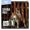 CALENDRIER chien 2027 SHIBA INU MARTIN SELLIER-DOGFRENCHTOUCH